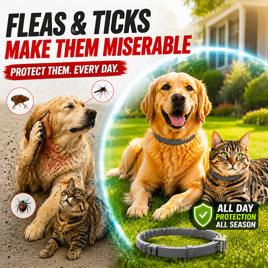 Adjustable Flea & Tick Collars for Dogs & Cats