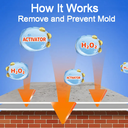 Deep Cleaning Mold Stain Remover Spray (Offer)